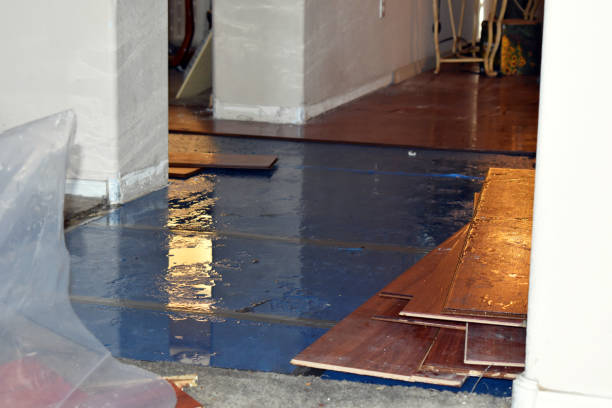 Professional Flood Damage Repair technician working in New Marshfield, OH